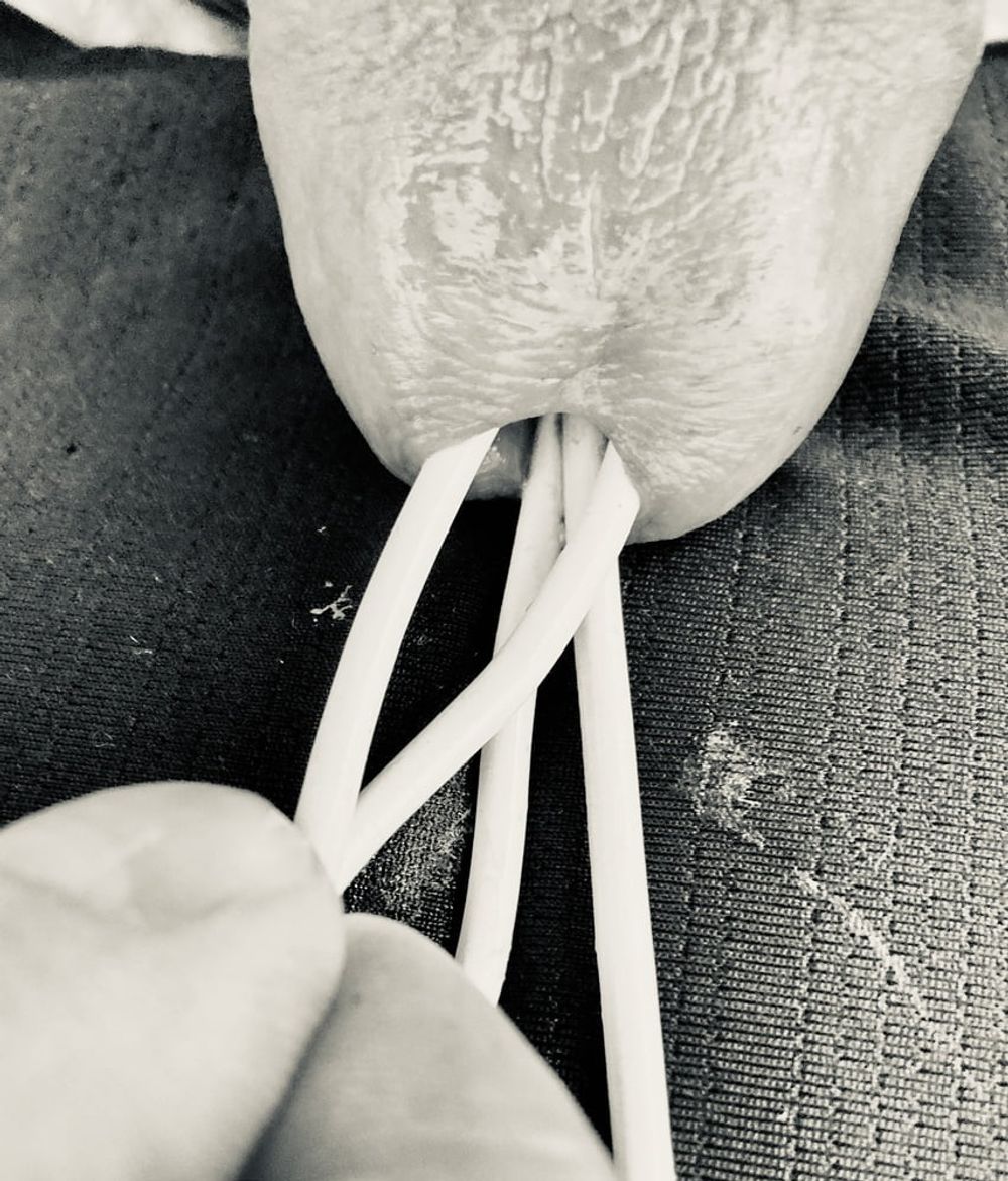 Cock Urethral Multiple  Stuffing / Black &amp; White #6