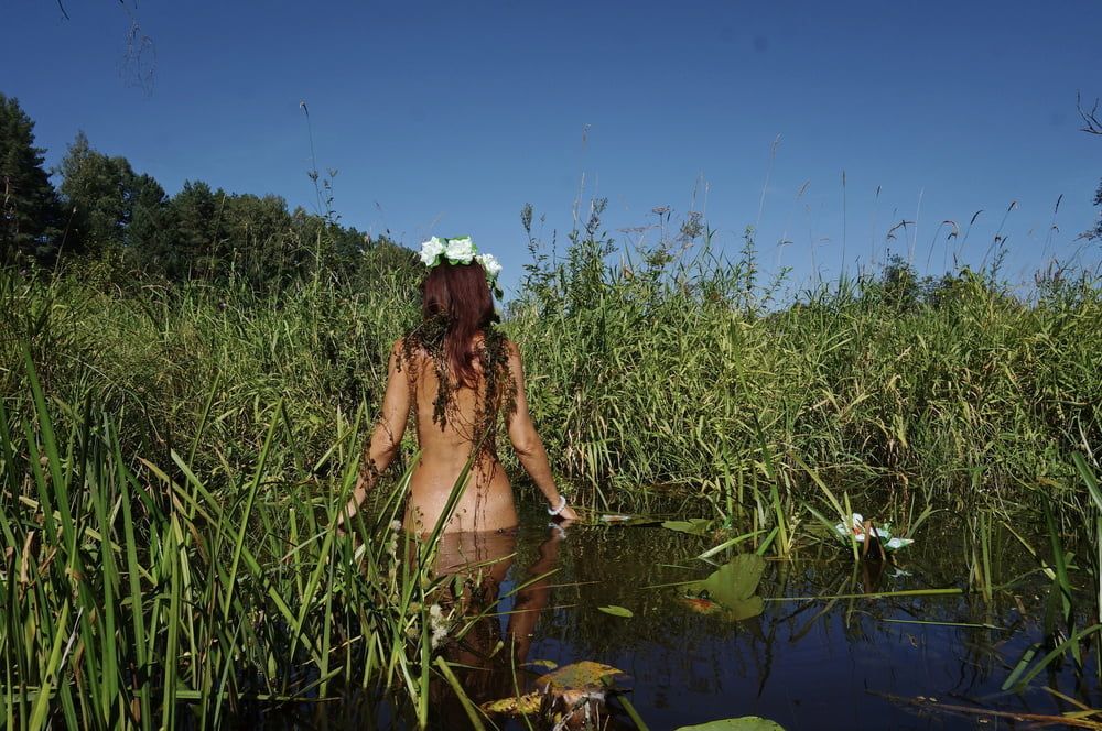  In Pond with Waterflowers 2 #33