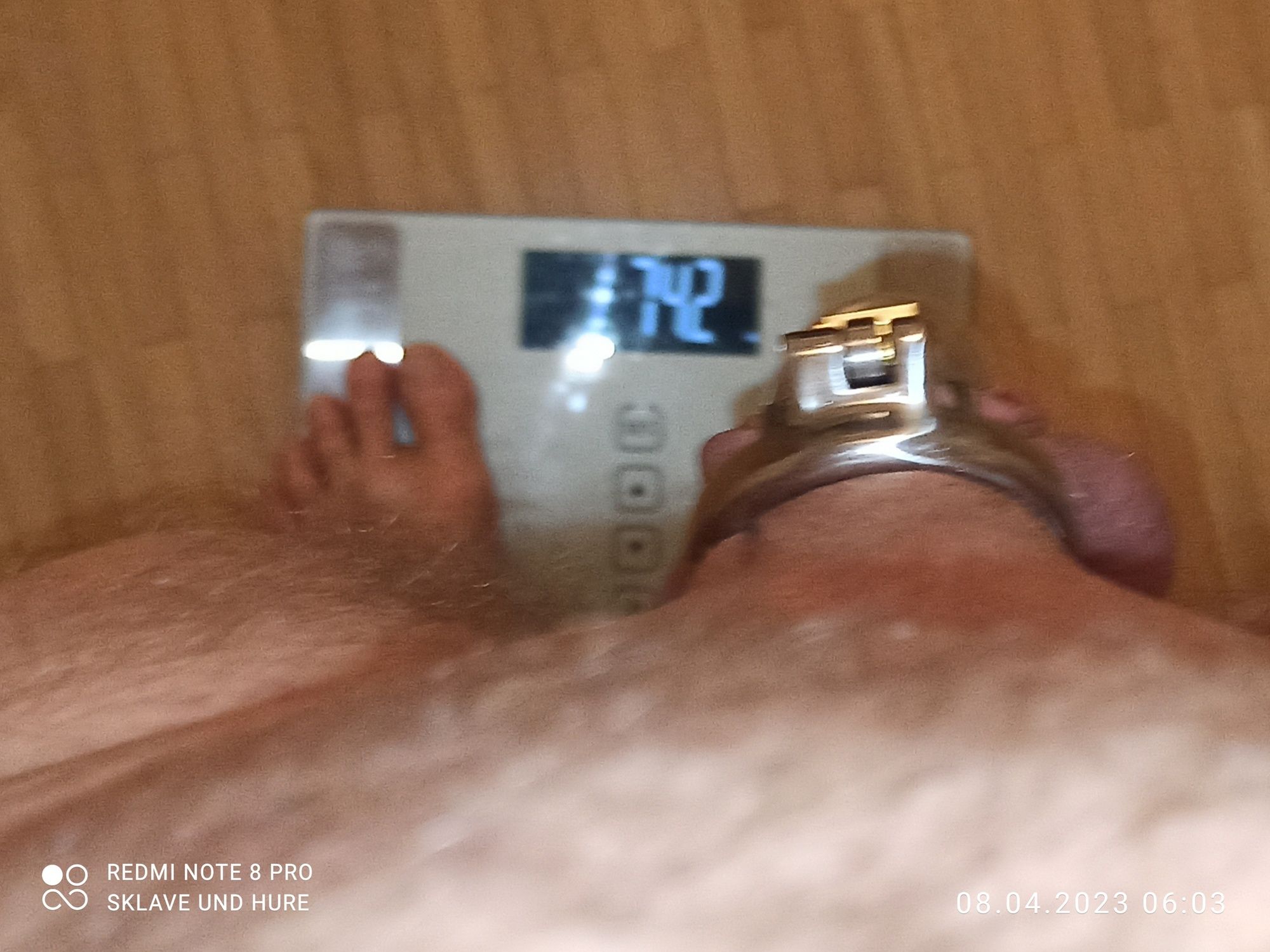 mandatory weighing and cagecheck of 8/4/23 #14