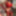 20170805 red corset and 44N bra #18