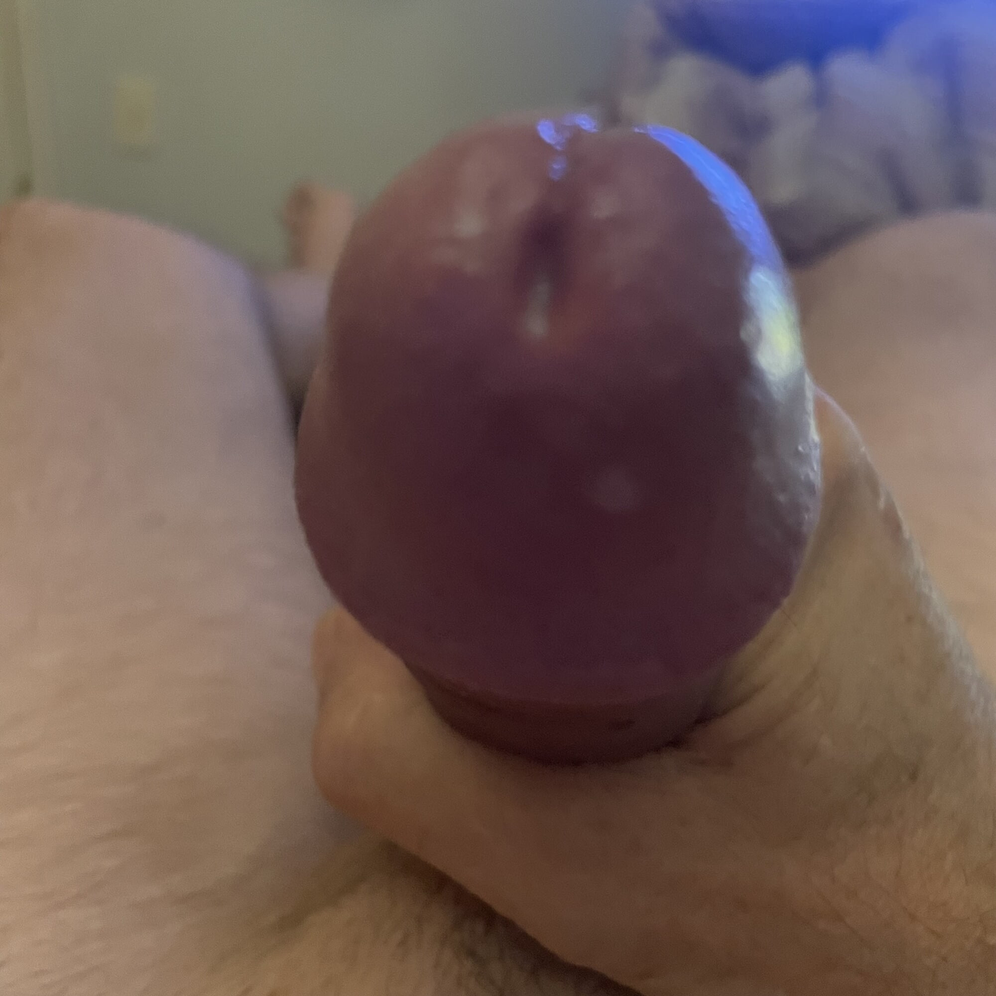 Cock #3