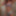 Bunni Free Photos #23