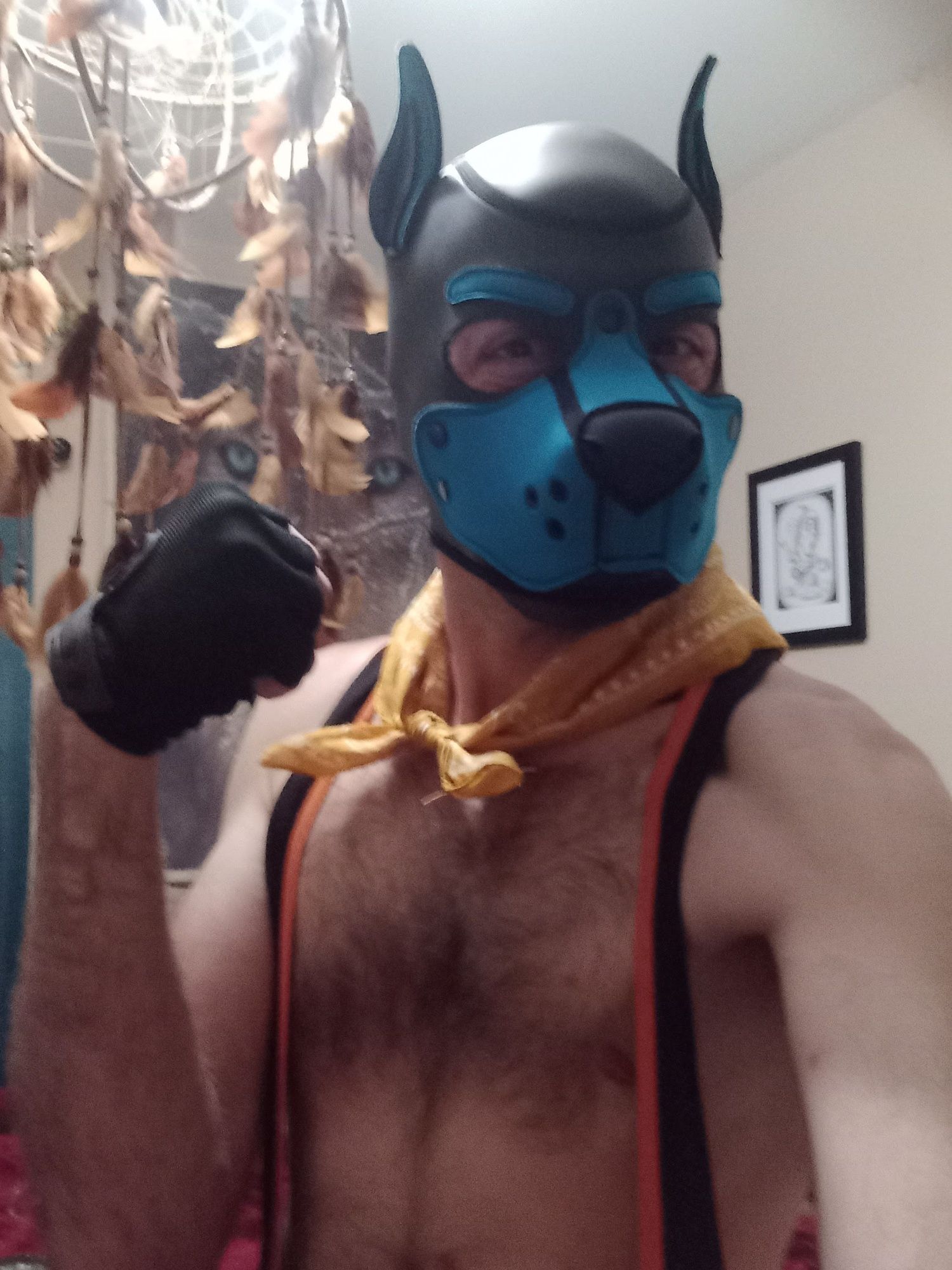 Puppers Showing off in underwear...again #34