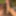 My dick pics