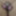 Oktober 5, 2024 Daily duty of the naked slave #9