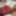 Meana Free Photos