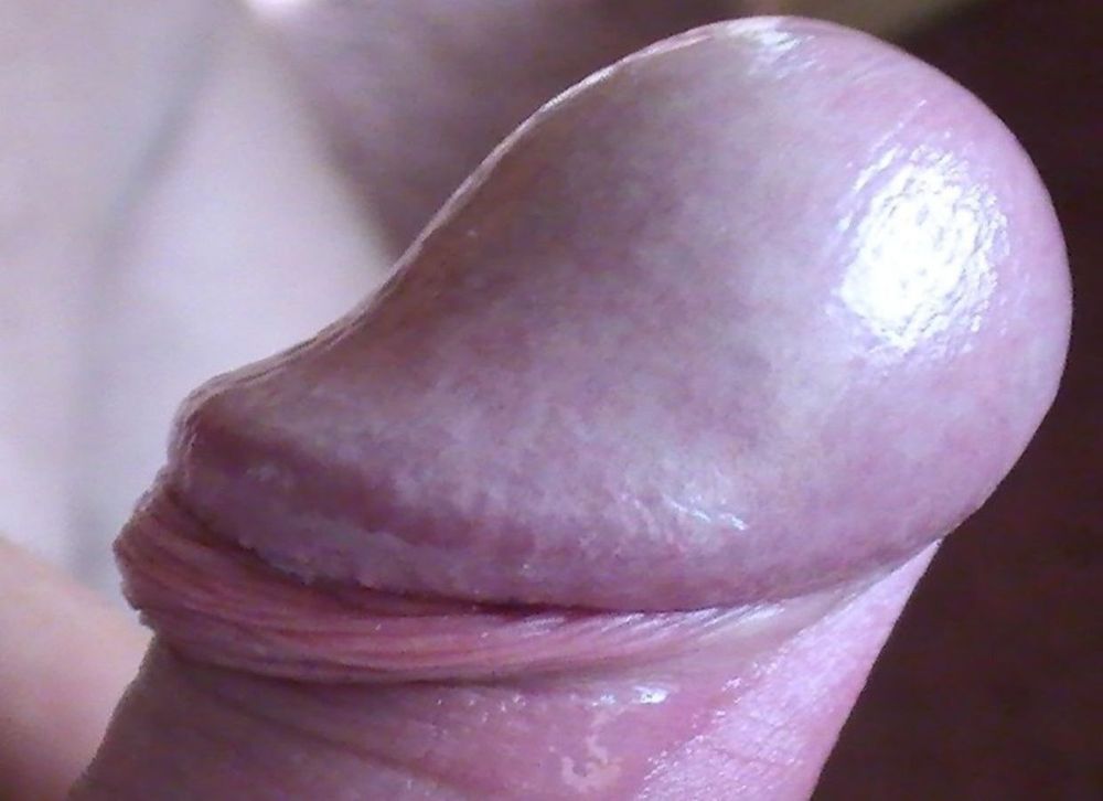 Close up Cock #2