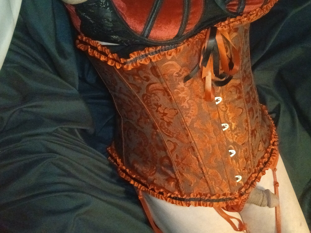 Panties, bra, corset, stockings, and garters belt #14