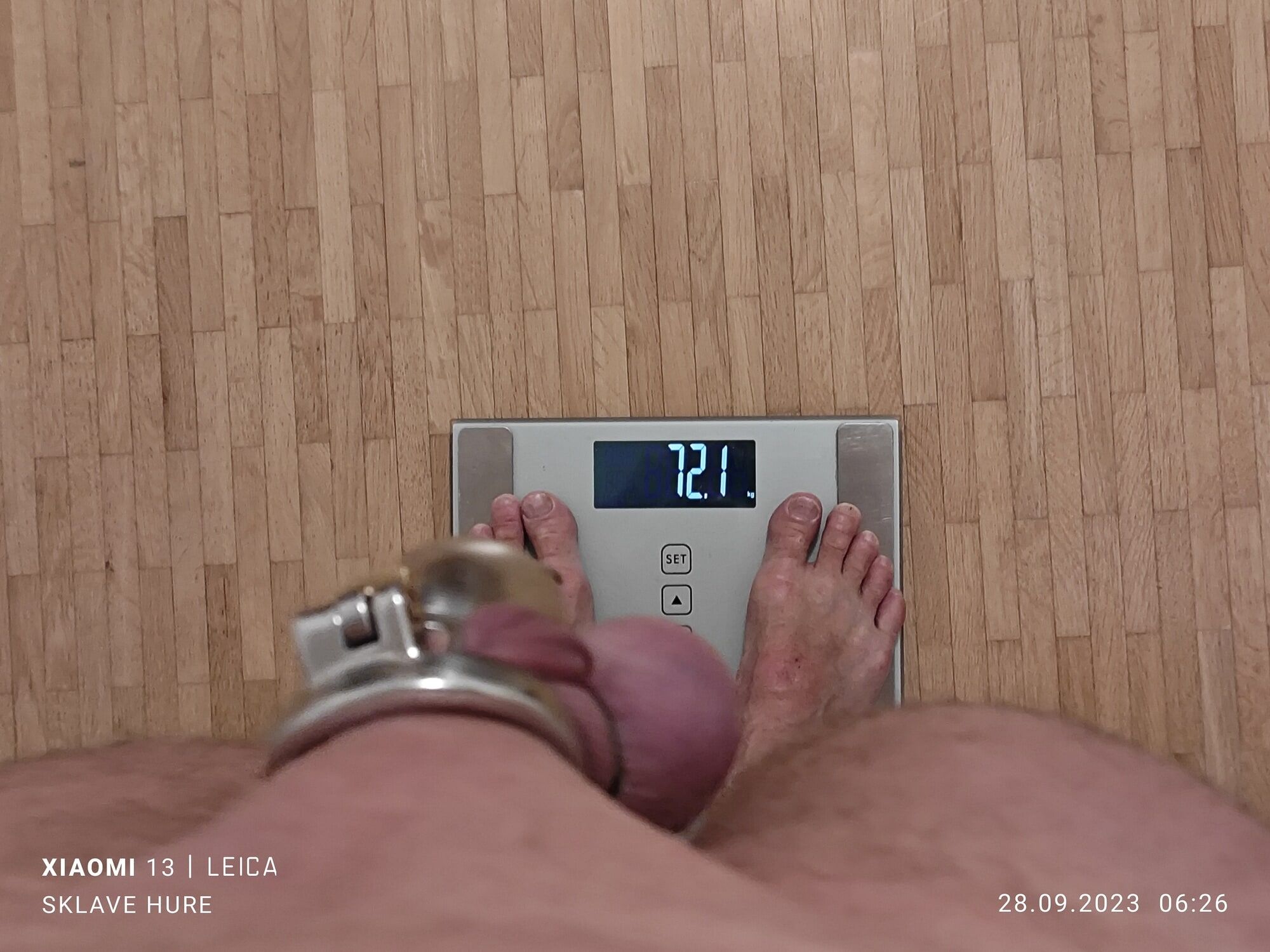 Weighing, Cagecheck, stuffed, September 28, 2023