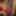 VERY UNUSUAL MOUSE NOSE NIPPLES GIRL GOT GIFT - KILO OF 🧀C #54