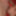The hottest Christmas with Valkiria and Charlotte Lapiedra