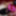 Training Day 21 - For Mistress Celine #2