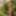 Photo shooting with cum slut Dany Sun in the garden - part 2 #2