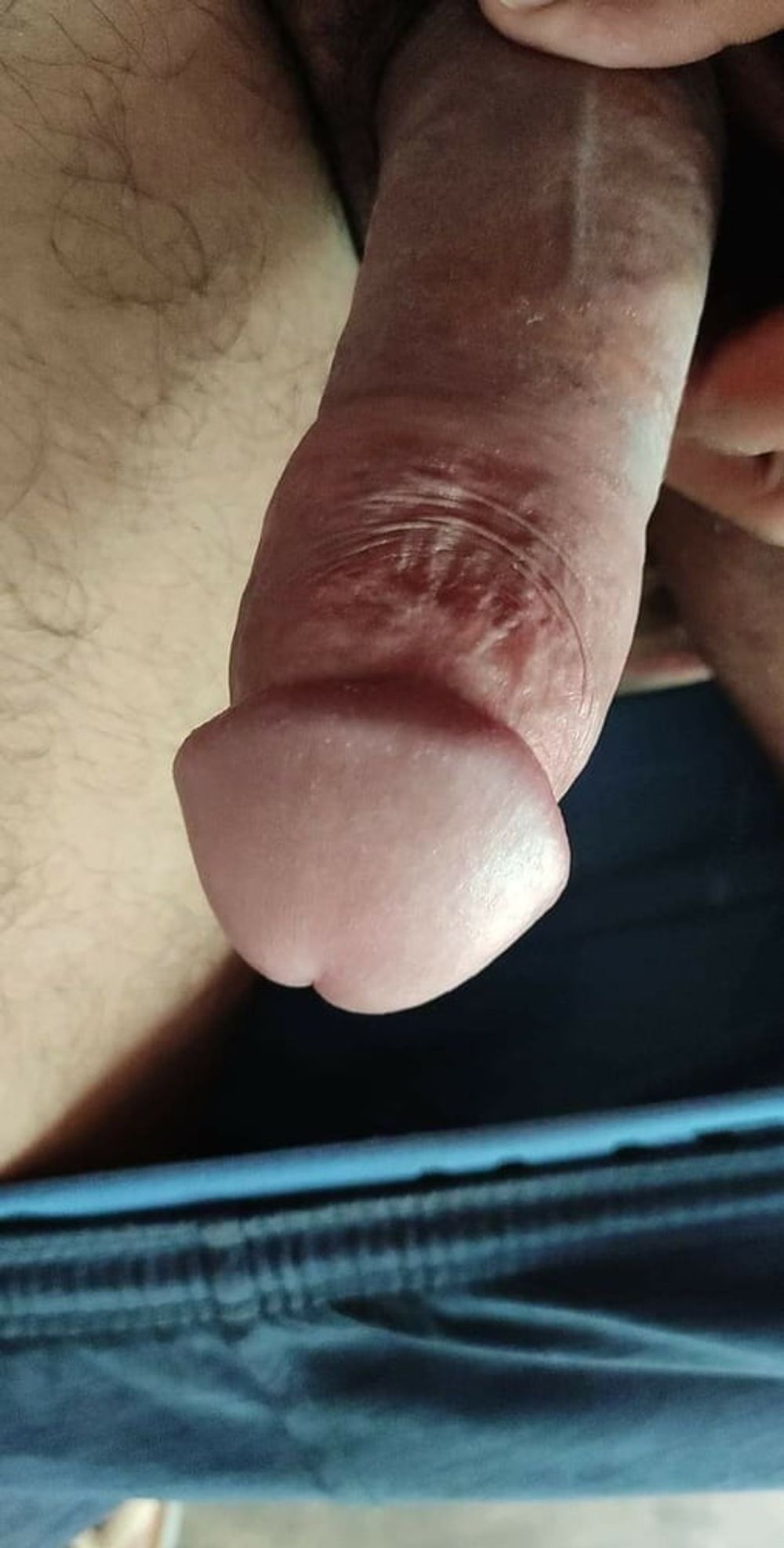 Indian dick #16