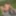 Silke Plays with dildo in nature #6