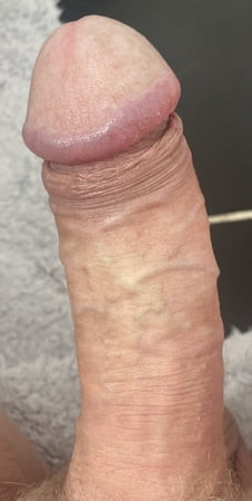 Cock