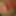 Cock pics  #2