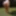 Watering the Garden - BBW ass on mature sexy MILF