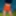 Orange shorts  #4