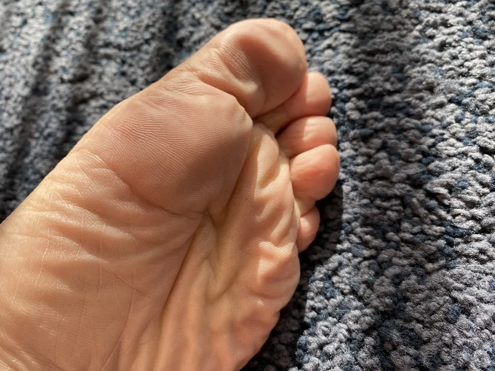 My beautiful male soles