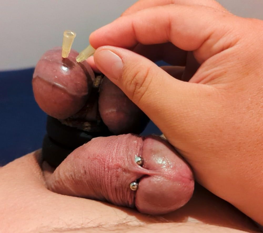 Testicle Skewering 3 Needles in Balls CBT Closeup #9