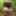 Shooting in the forrest #3