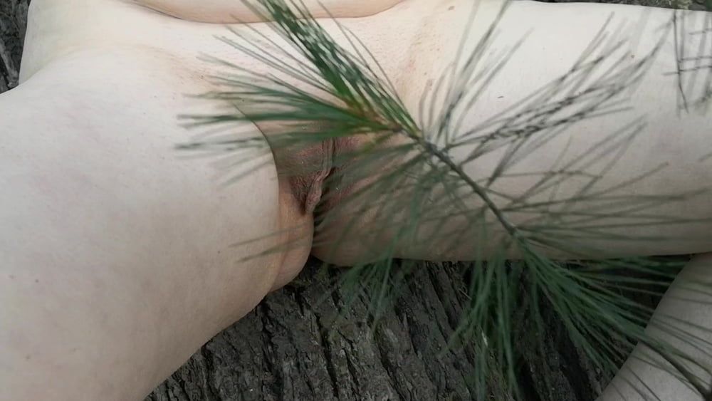 Tit, Ass and Pussy spanking with tree branch #27