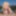 Outside of blonde cock sucking by the river #38