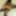 Photo 2016c #5