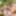 Gay Couple meets Bi Couple at LetsGoBi