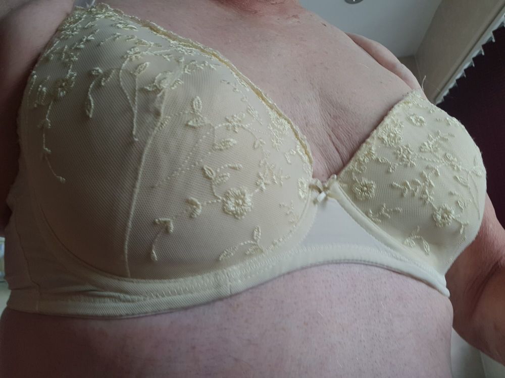 Which bra today #3