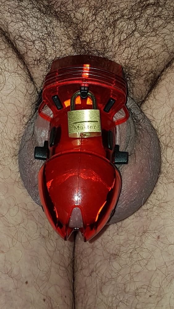 Chastity cage #10