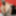 Alisya JC GIF 15 anal dildo fisting gape #4