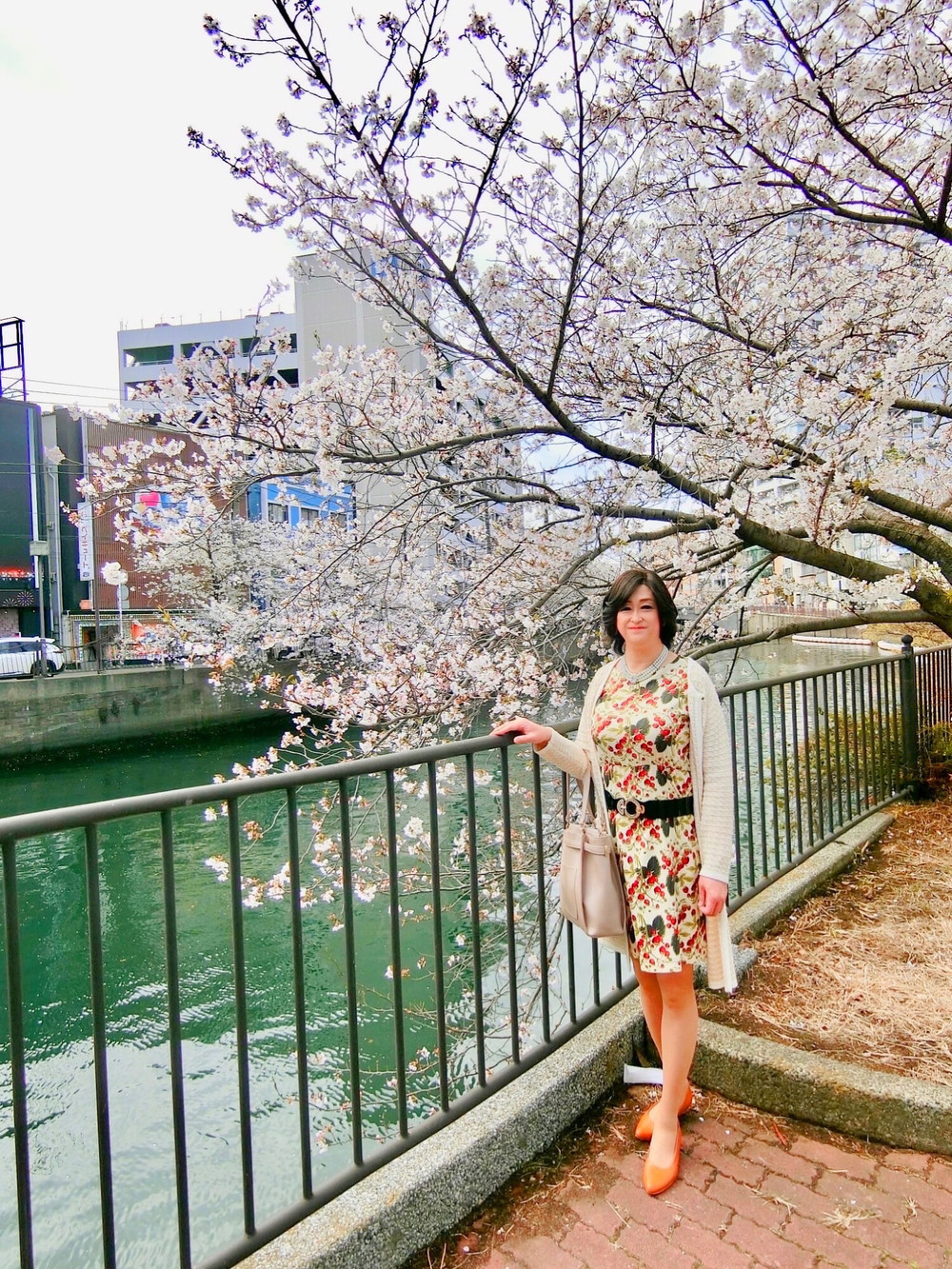Cherry blossom  #2
