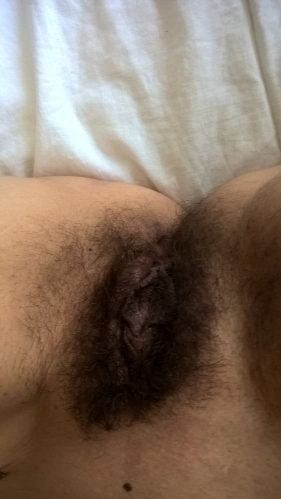 Mature Wife Hairy Pussy #16