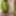 Amateur crossdresser Kellycd2022 holiday in white stockings #6