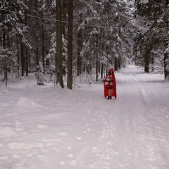 Little Red Hood in deep forest