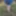Bare bum in the forest #6