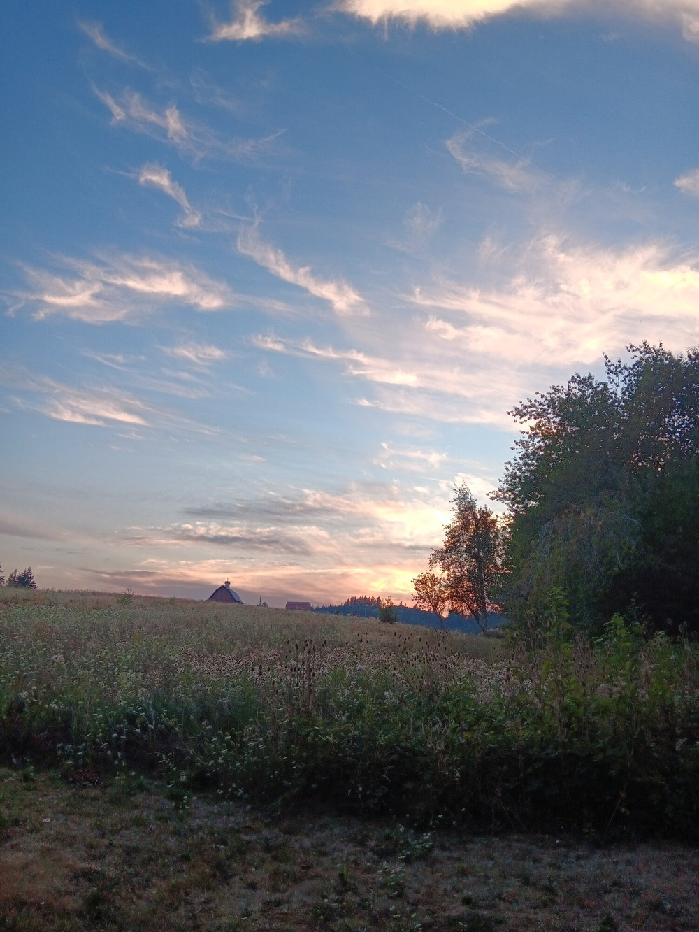 Best of 2025- August #26