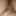 painty dick