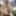Lina_Murrr Free Photos #5