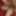 Annadevot: 10 cumshots #15