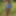 Naked girl 
