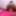 4K Sheisnovember Ebony Face Sitting Black Assworship Femdom