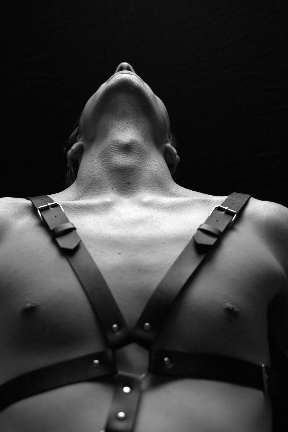 Leather and harness #11