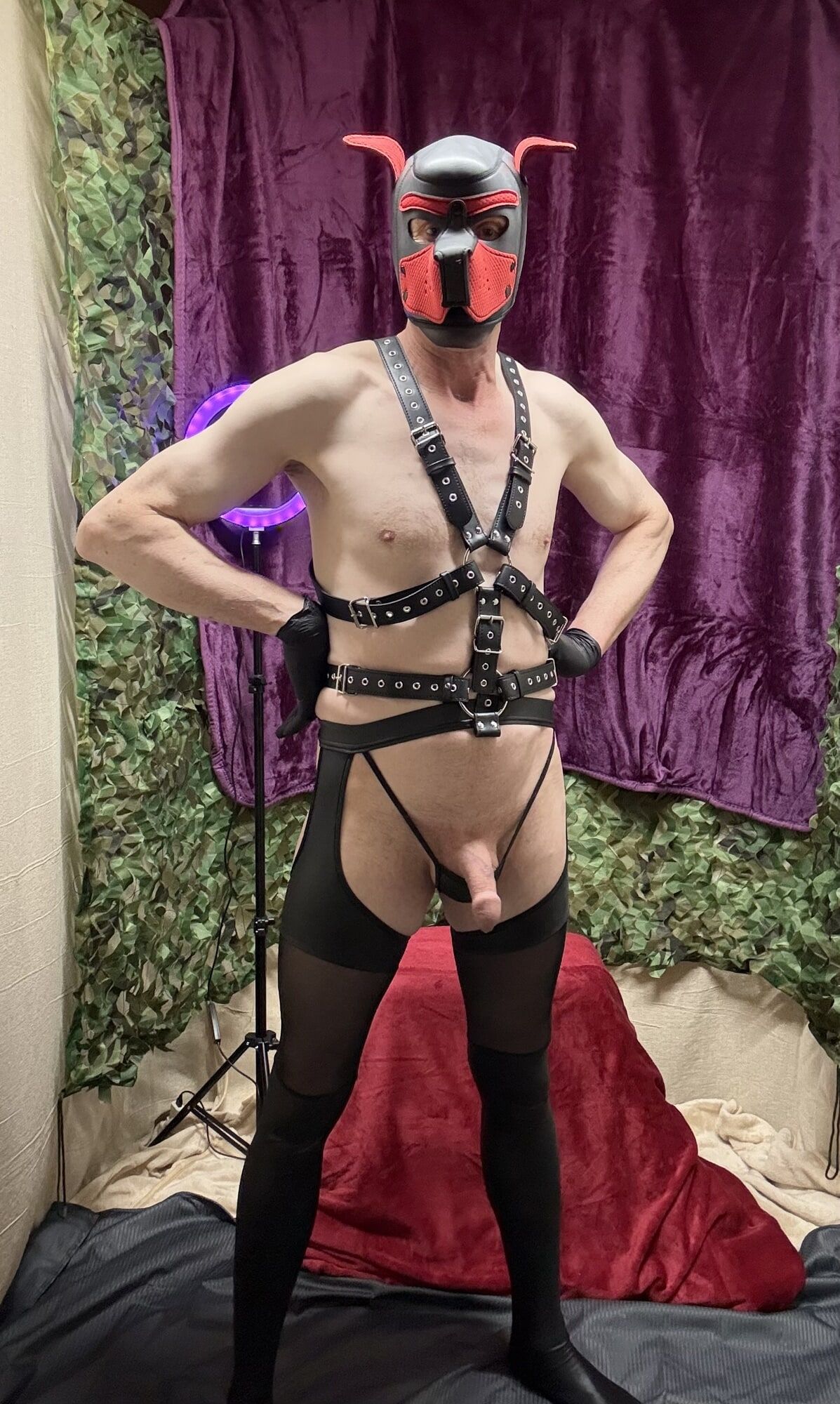 Horny Cock Show With Harness And wet look stockings  #2