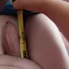 Size of the Dick 