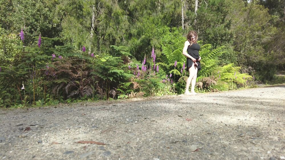 Crossdress Road Trip - Forest Road - Black Dress #6