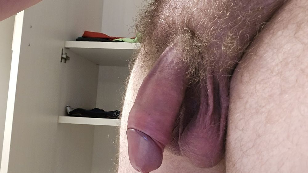 Some new cock pics #12