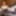 FEMOUT: Zina Doll Debuts!